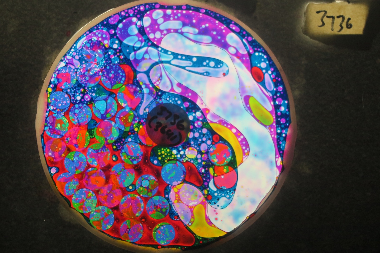 BV3736 bubble vision oil wheel